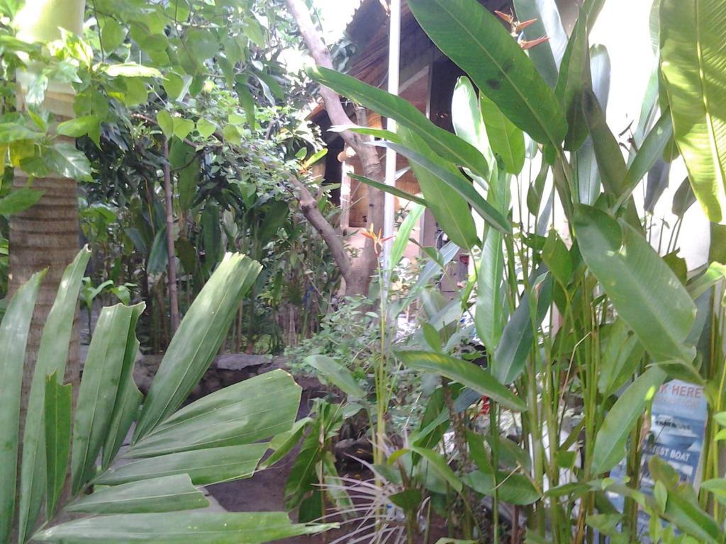 Solaluna Beach Homestay Amed Екстериор снимка